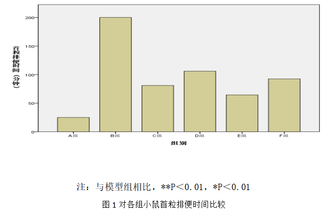 增液汤对慢传输型便秘小鼠的初步实验研究