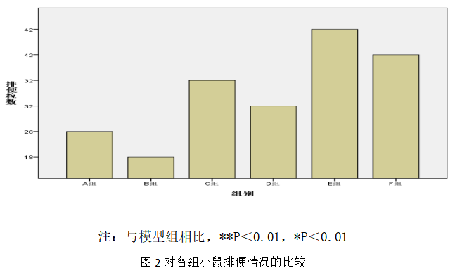 增液汤对慢传输型便秘小鼠的初步实验研究