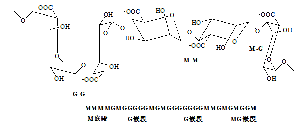 专用染料及助剂对海藻酸纤维染色性能的研究
