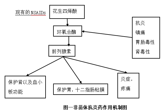 非甾体抗炎药的研究进展