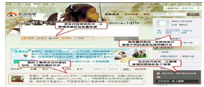 凡客诚品微博营销策略研究