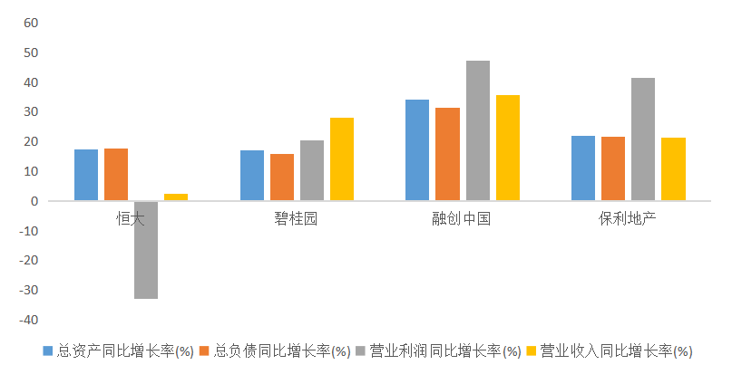 碧桂园控股有限公司财务绩效研究