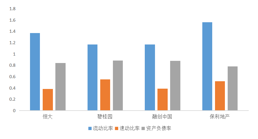 碧桂园控股有限公司财务绩效研究