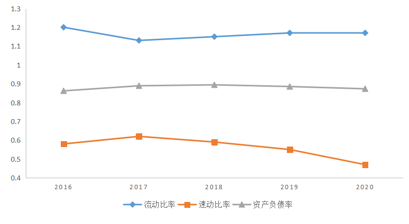 碧桂园控股有限公司财务绩效研究