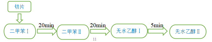 miR-182、miR-183-5p和miR-96-5p与非酒精性脂肪肝的相关性研究