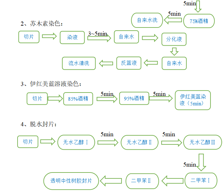 miR-182、miR-183-5p和miR-96-5p与非酒精性脂肪肝的相关性研究