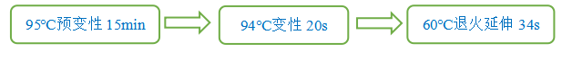 miR-182、miR-183-5p和miR-96-5p与非酒精性脂肪肝的相关性研究