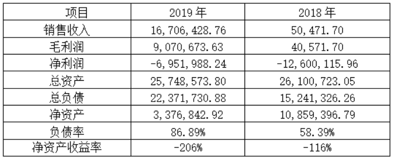 某娱乐公司的营销策略研究