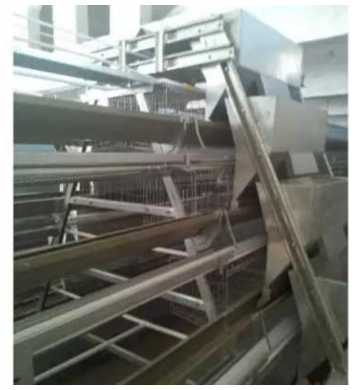 基于单片机的智能养鸡舍