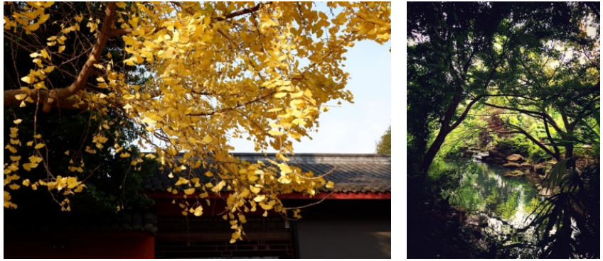 西蜀园林中光影的艺术表达与应用研究