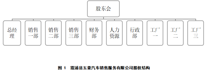 霞浦县五菱汽车销售服务有限公司财务风险分析