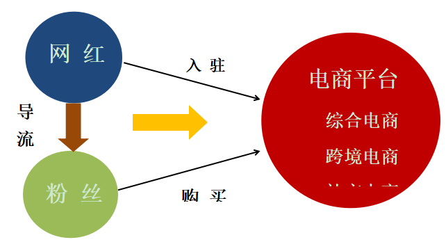 服装类网红电商的发展现状及运营模式研究