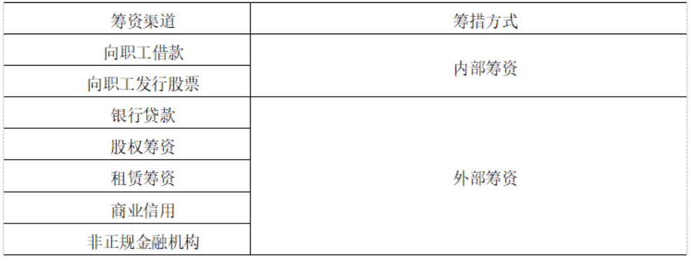 深圳华为技术有限公司筹资问题分析