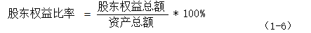 城固酒业股份有限公司偿债能力分析