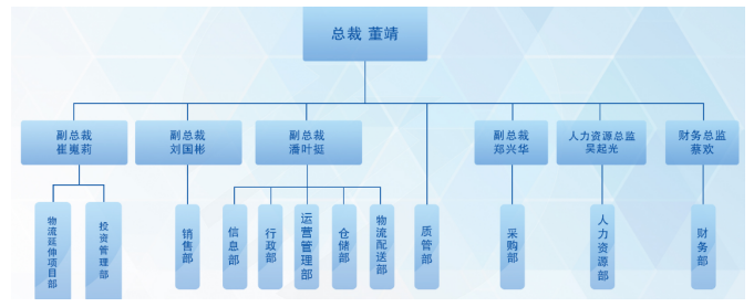 广东海王医药集团有限公司偿债能力调研报告