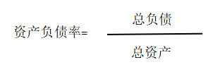 上海天晴实业公司偿债能力分析与建议研究