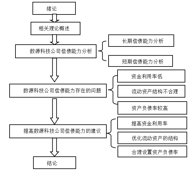 数源科技有限公司偿债能力分析与建议研究