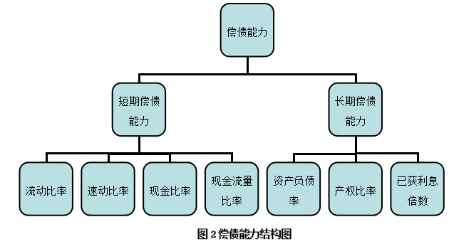 数源科技有限公司偿债能力分析与建议研究
