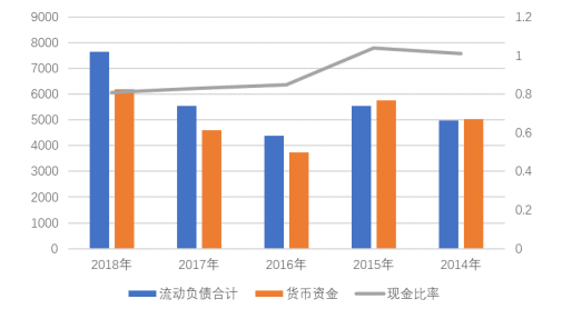 天津星河公司偿债能力分析与评价研究