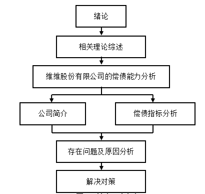 维维股份有限公司偿债能力分析与评价研究