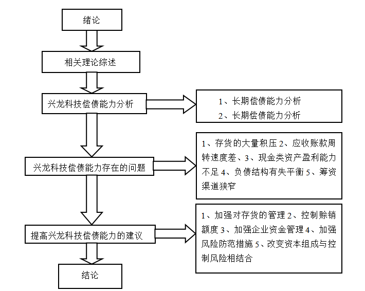 兴龙科技有限公司偿债能力分析与建议研究