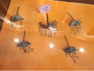 论闽东畲村物质文化资源保护——以福鼎双华畲村为例