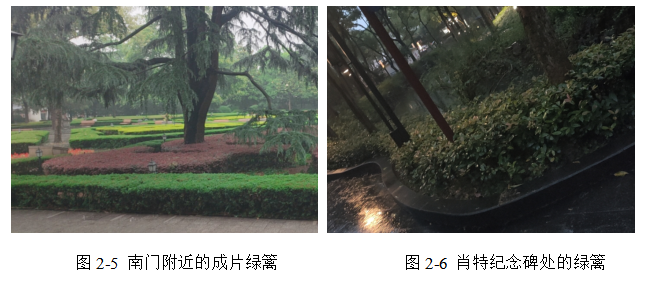 浅析公园绿地园林树木养护管理技术——以苏州公园为例