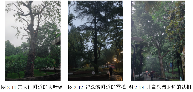 浅析公园绿地园林树木养护管理技术——以苏州公园为例