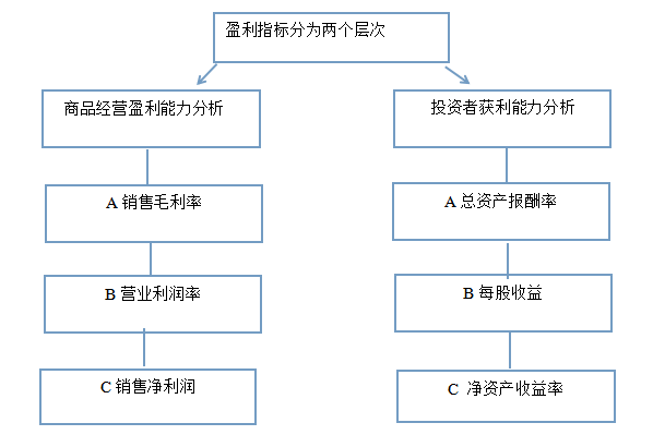 关于神州租公司的盈利能力调查分析