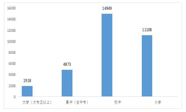 公共管理视阈下丁坞镇乡村文化振兴发展现状与策略研究