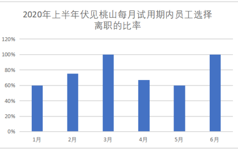 伏见桃山员工招聘管理分析