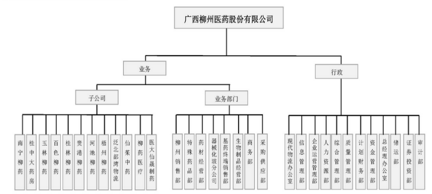 广西柳州医药股份有限公司内部控制问题研究