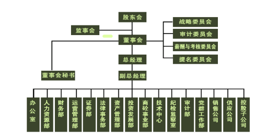 江西万年青水泥股份有限公司内部控制缺陷分析及对策建议