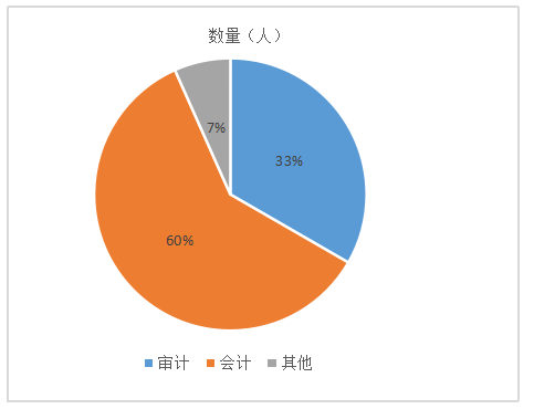 HY房地产公司内部审计问题及对策分析