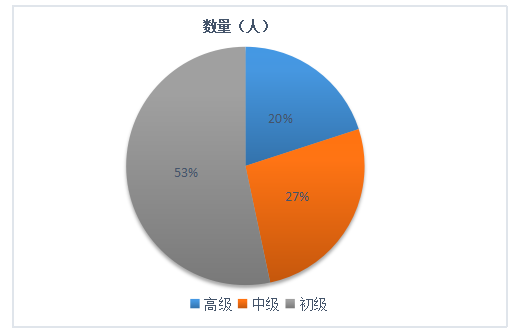 HY房地产公司内部审计问题及对策分析
