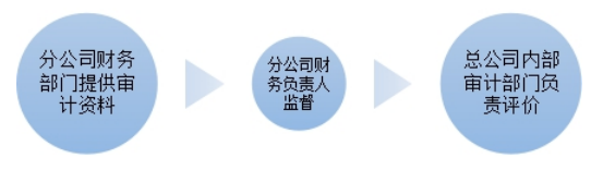 企业集团内部审计问题与对策探讨