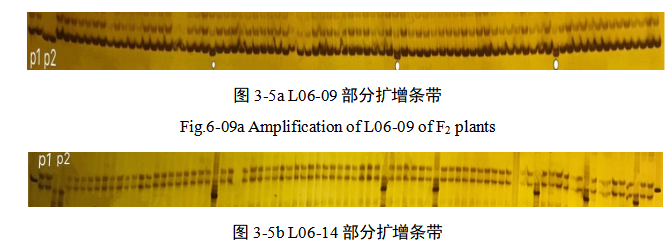 a426646e566c2b94c182a419611e5f87