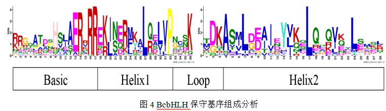 baab3090e1d8f817c561495ca98526ec