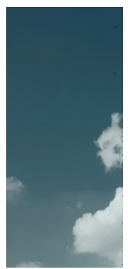 c5bc87738f28ccff2c3ecaaac4dcefd6