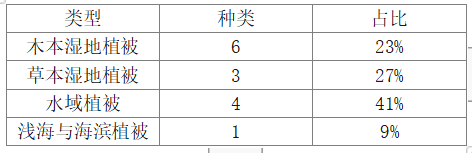cd478d125bc40396c88e7a4b8ff035d9