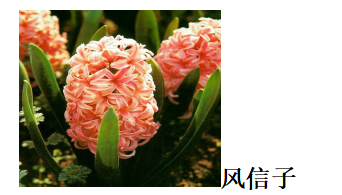 d13803fe5c9f77e110e6cc0e965729ed