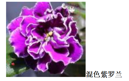 db2aeb8c523176cbe6d1bbf2ade899f3