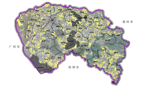 e21c725138846de07782d53f8ee42531