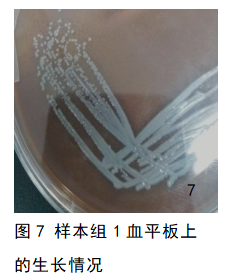 e23face961fcf3d15932c36a8aa7703b