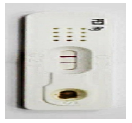 e4b326c353c1c753b1689ad3d019c9fc