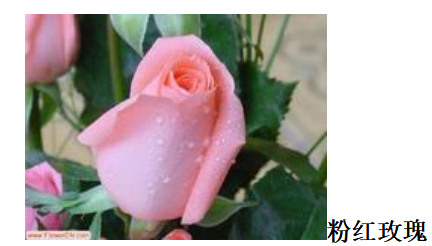 f9564e011c4fd5a7378bbcd03ec17b8a