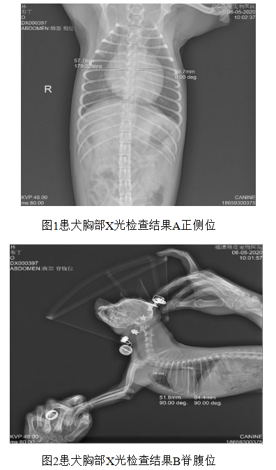f95cd164c546ee22d79a4630e12cd1e8
