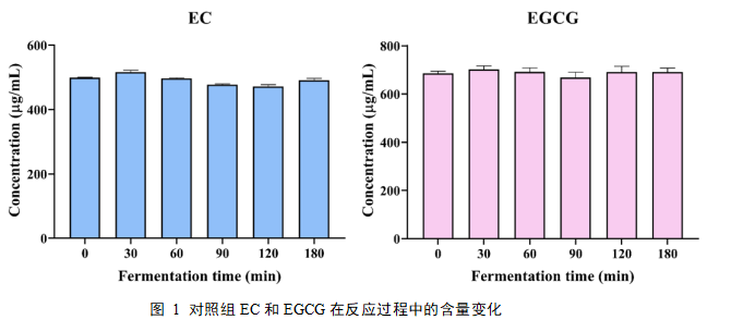 fd095e51adc47ada2871a0a76fdaf9a6